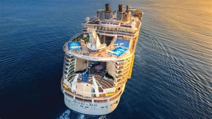 Discover The Allure Of Miss Hybrid Photos