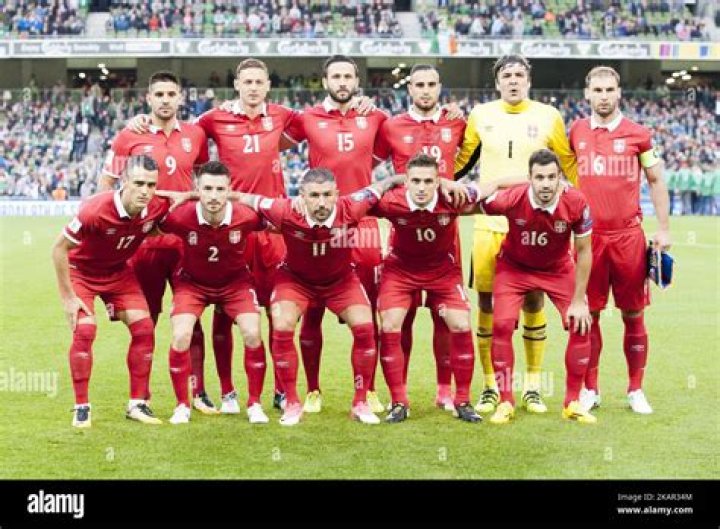 Expert Insights: Introducing Mirko Vuini, The Serbian Soccer Legend